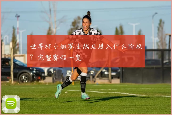 世界杯小组赛出线后进入什么阶段?完整赛程一览