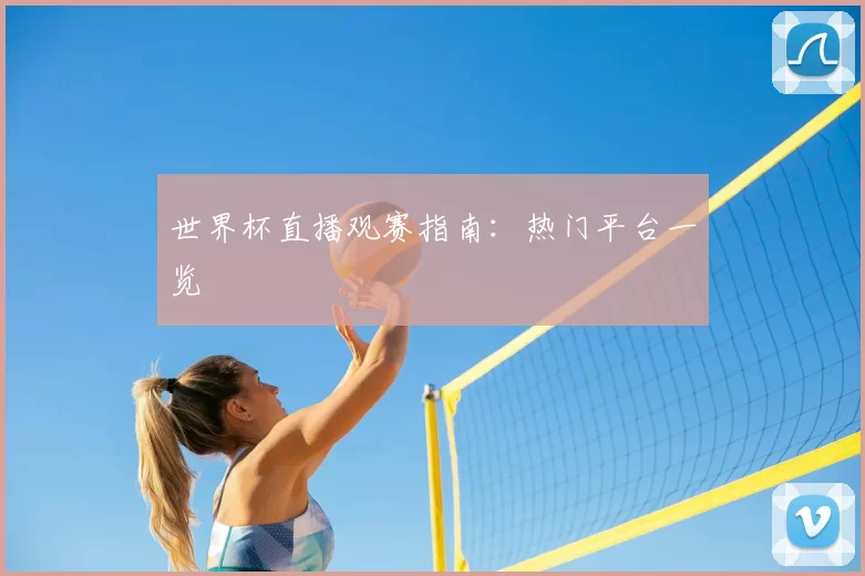 世界杯直播观赛指南:热门平台一览