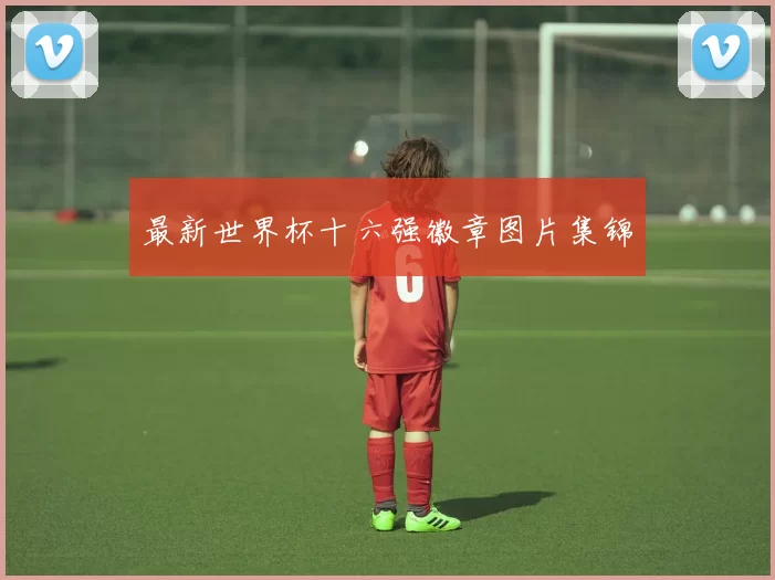 最新世界杯十六强徽章图片集锦