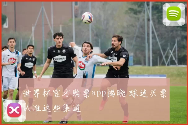 世界杯官方购票app揭晓 球迷买票认准这些渠道