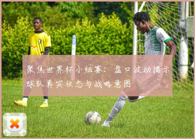 聚焦世界杯小组赛:盘口波动揭示球队真实状态与战略意图