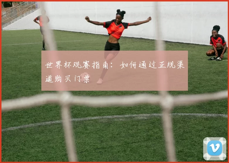 世界杯观赛指南：如何通过正规渠道购买门票