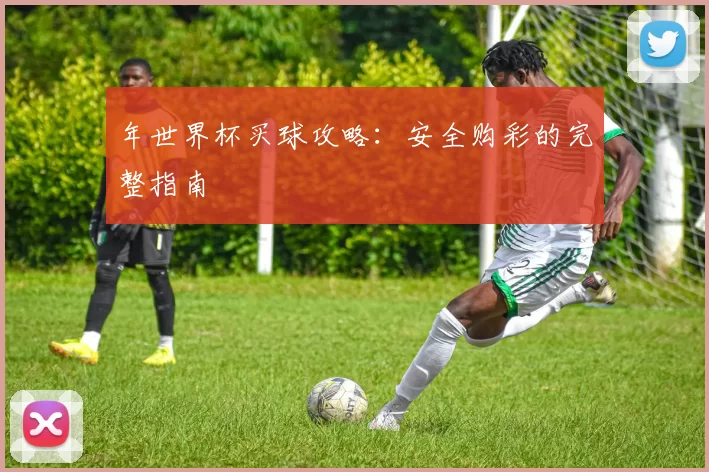 年世界杯买球攻略:安全购彩的完整指南