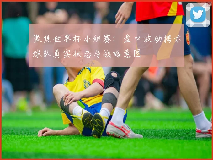 聚焦世界杯小组赛：盘口波动揭示球队真实状态与战略意图